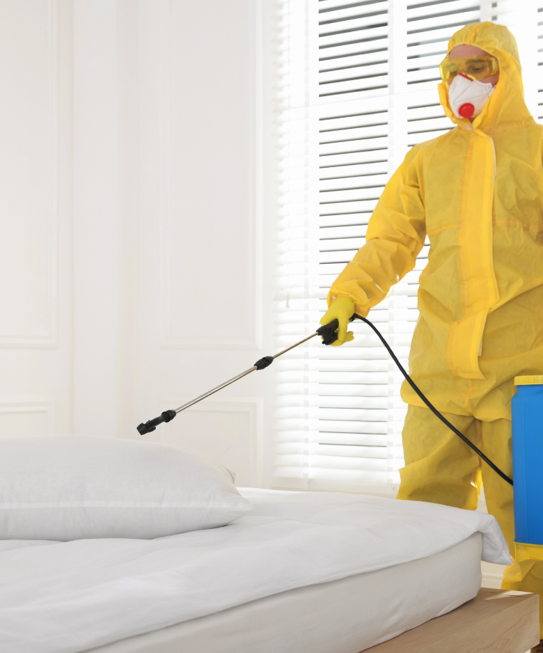 Professional Pest Control Team in Erindale